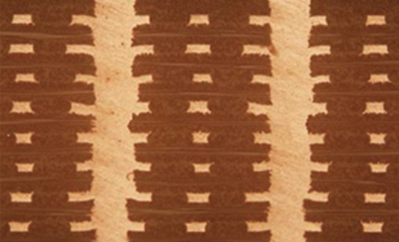 002 Figure 01 002 Figure 01